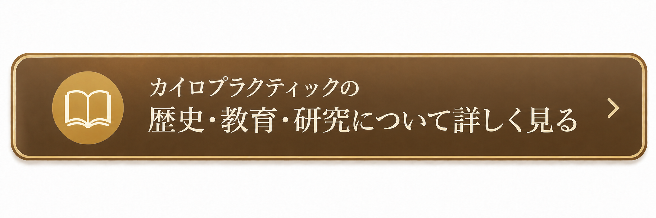 カイロプラクティックについて詳しく見る
