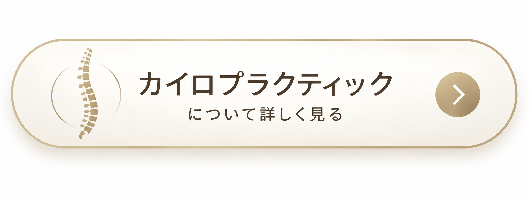 カイロプラクティックについて詳しく見る